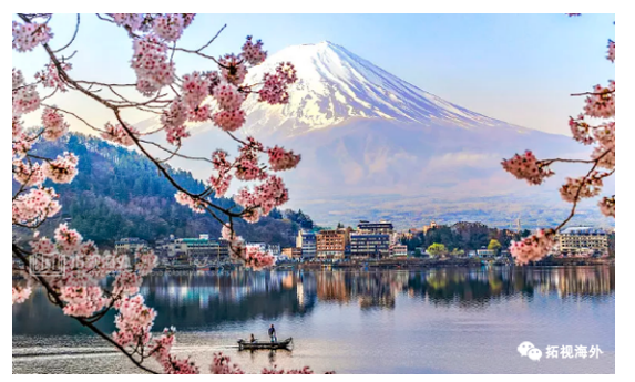 成功案例｜中國音樂高材生，成功獲批日本高級人才簽證！